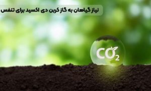 نیاز گیاهان به گاز کربن دی ‌اکسید برای تنفس