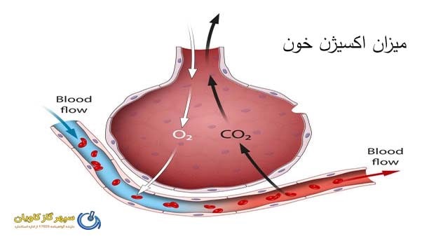 گاز اکسیژن خون چیست