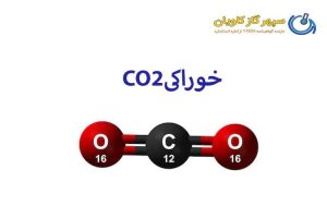 کربن دی اکسید خوراکی