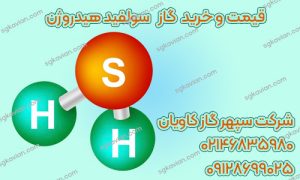 گاز هیدروژن سولفید (H2S) و راه‌های مقابله با زیان‌های آن