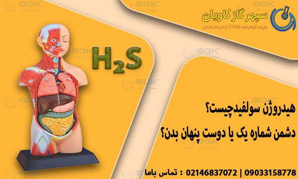 هیدروژن سولفیدچیست؟ دشمن شماره یک یا دوست پنهان بدن؟