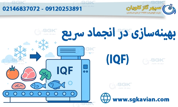 بهینه‌سازی در انجماد سریع (IQF)