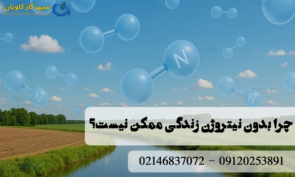چرا بدون نیتروژن زندگی ممکن نیست؟